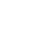Dinamico festival